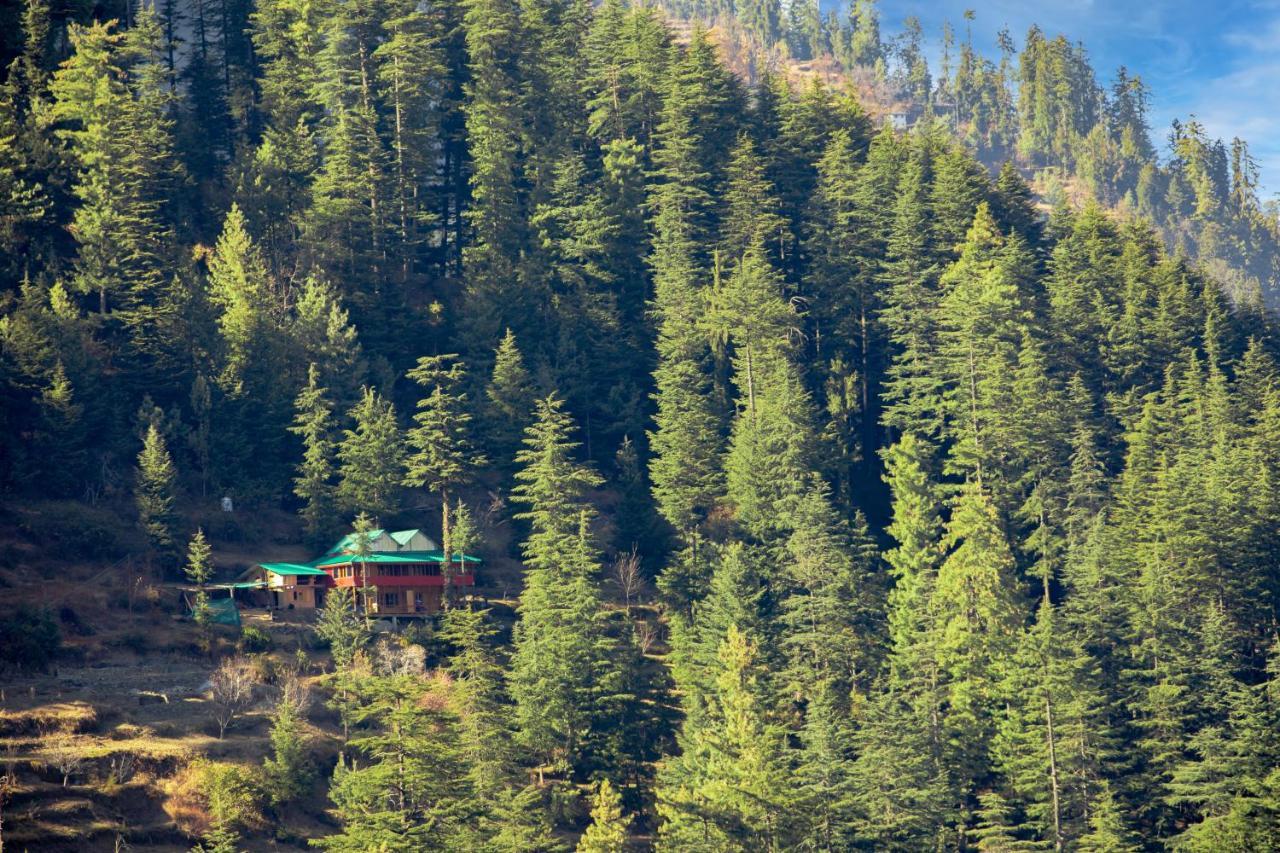 Hotel Freebird Nest Jibhi Exterior foto