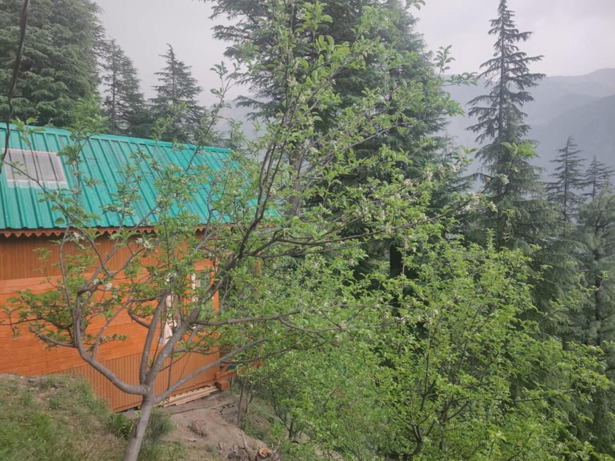 Hotel Freebird Nest Jibhi Exterior foto