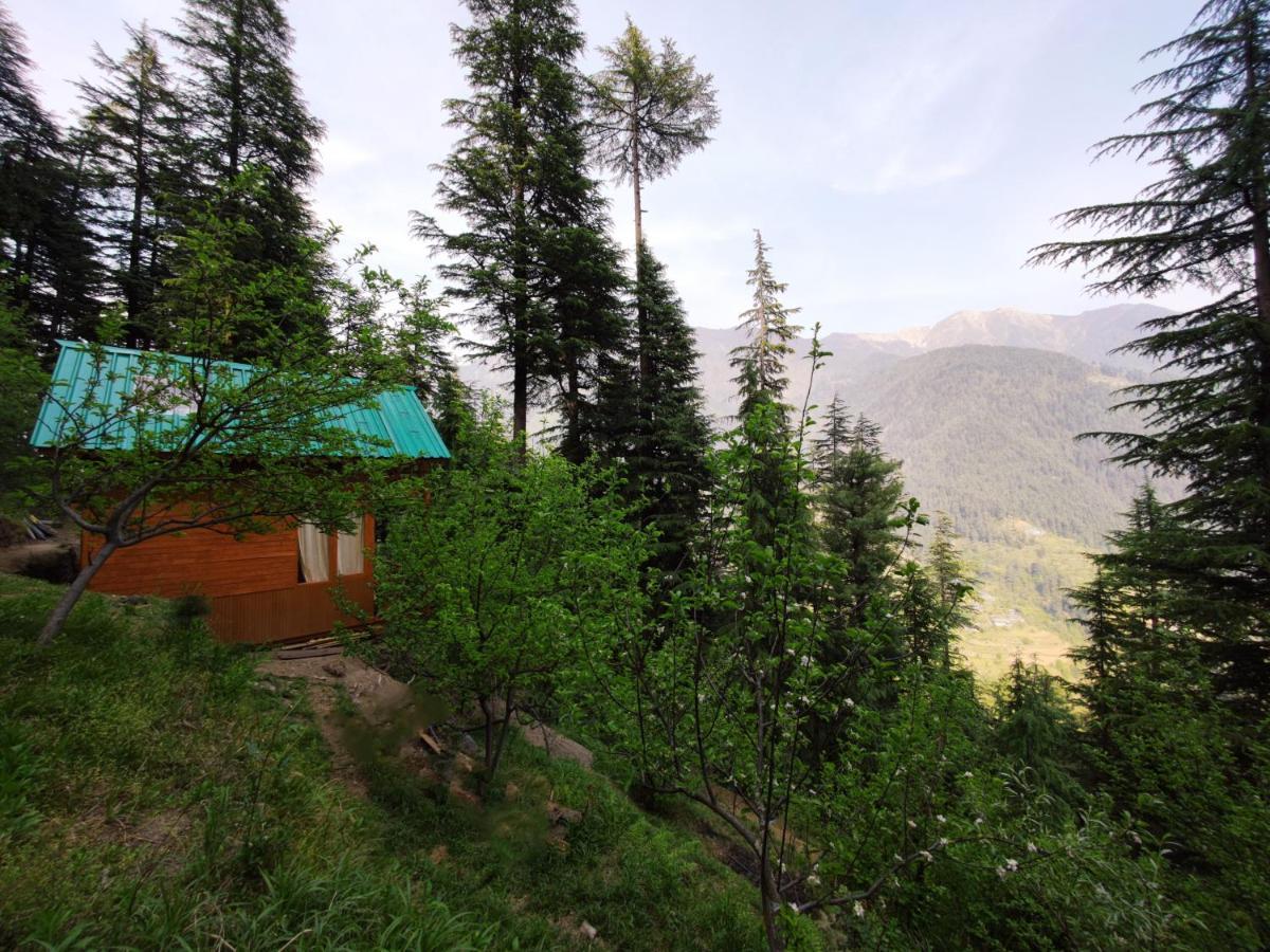 Hotel Freebird Nest Jibhi Exterior foto