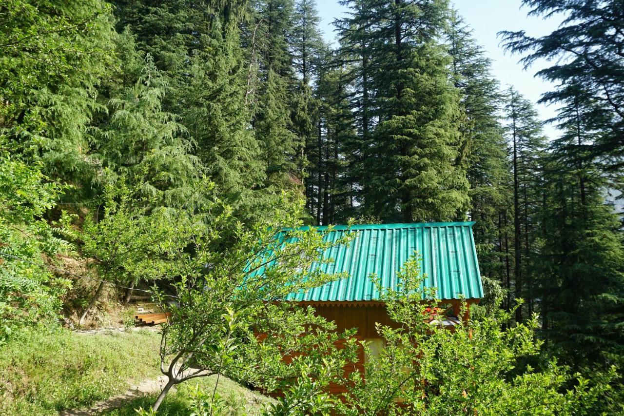 Hotel Freebird Nest Jibhi Exterior foto